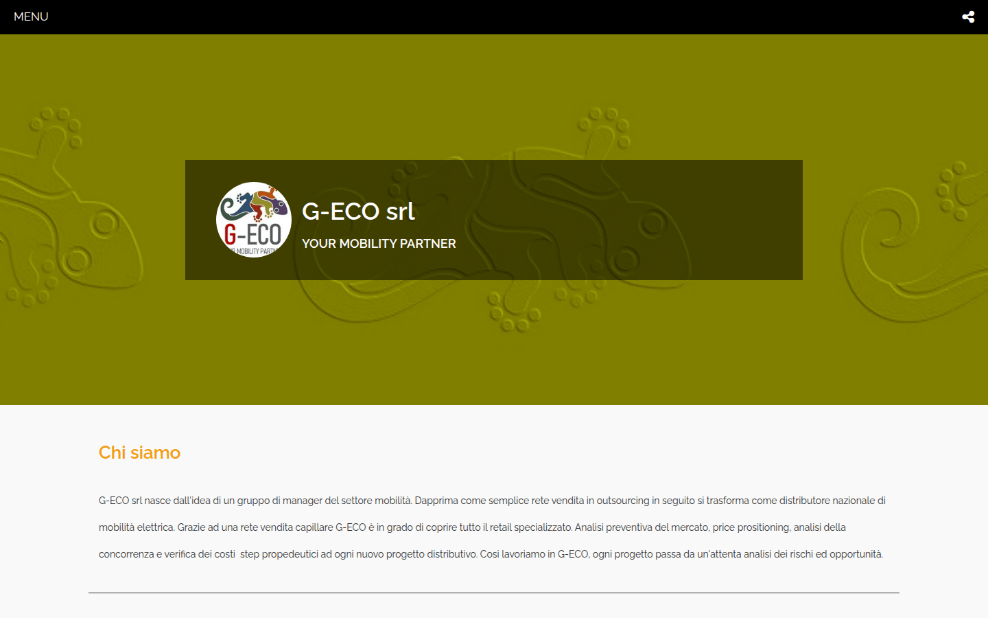 Screenshot of the G-Eco srl website, Italy