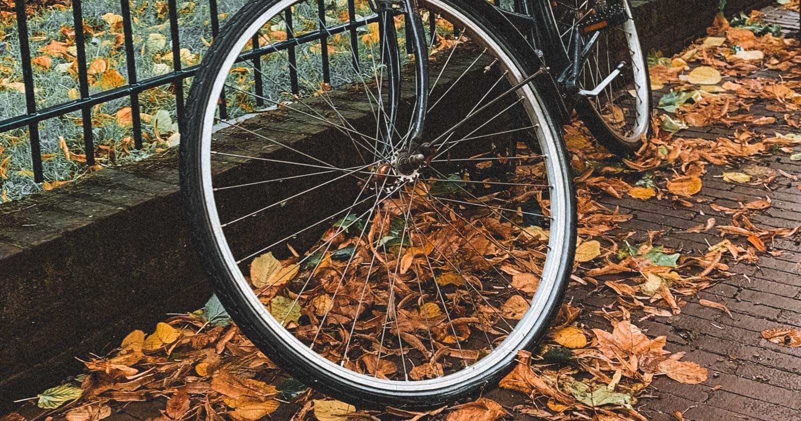 Fahrrad an einem Zaun im Herbstlaub